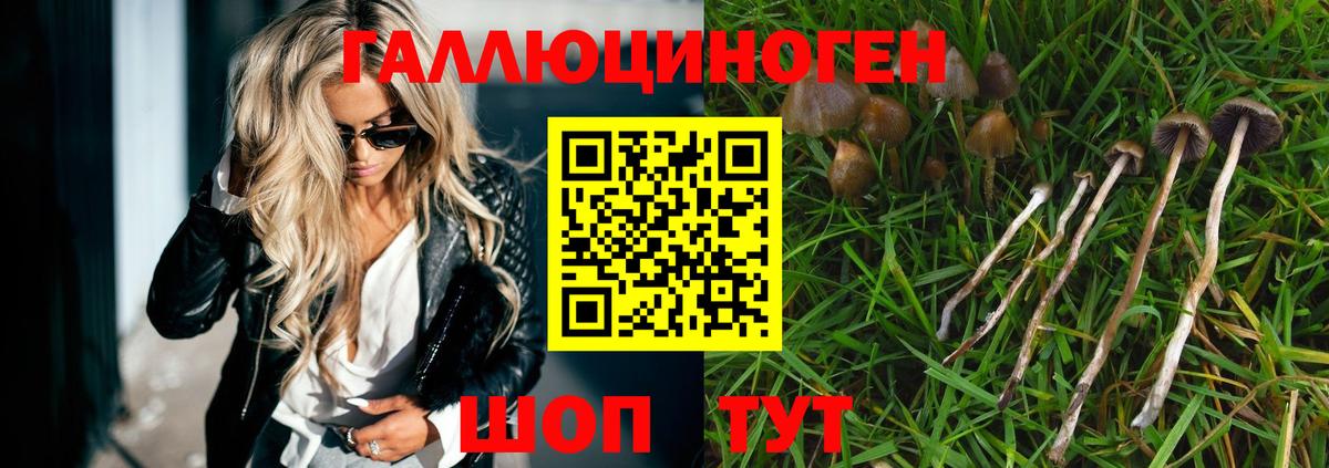 Псилоцибиновые грибы прущие грибы  Галлюциногенные грибы Psilocybe  Сызрань  Вход с VPN 