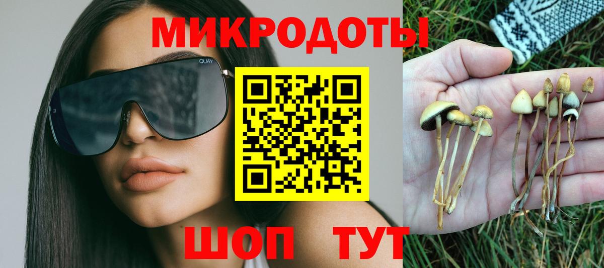 Псилоцибиновые грибы прущие грибы Сызрань